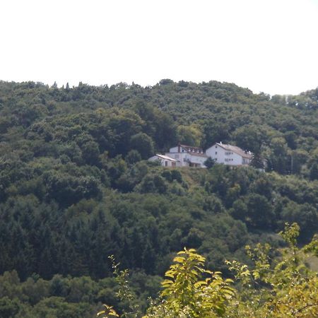 Burg-Hotel Obermoschel Ngoại thất bức ảnh