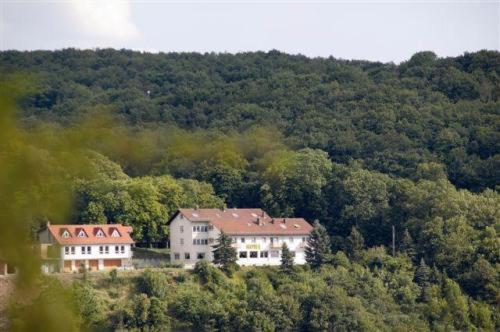 Burg-Hotel Obermoschel Ngoại thất bức ảnh